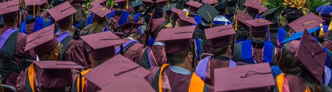 Sustainability Graduation Cords : Office of Sustainability : Texas